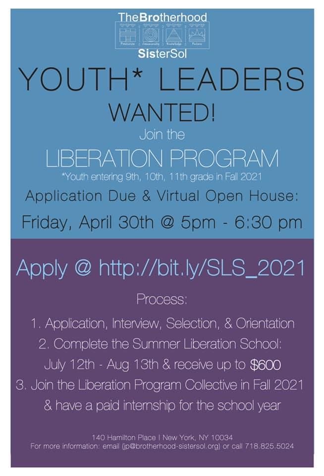 Apply By April 30th For The Brotherhood Sister Sol Summer Liberation School Program Movement Youth Power Hub